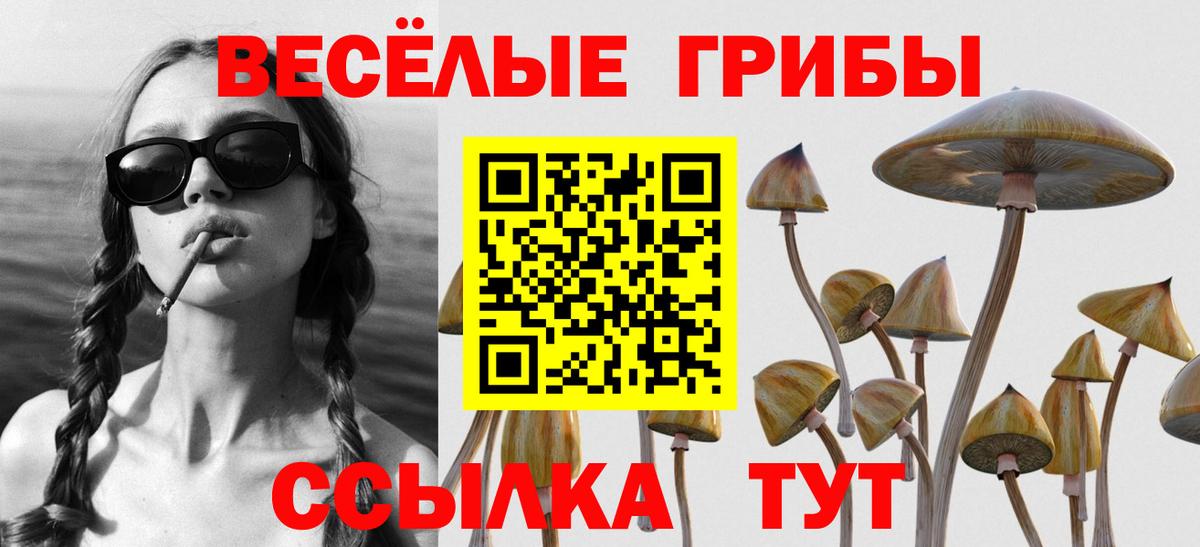 Керчь  Псилоцибиновые грибы прущие грибы  Вход с VPN  Псилоцибиновые грибы мицелий 