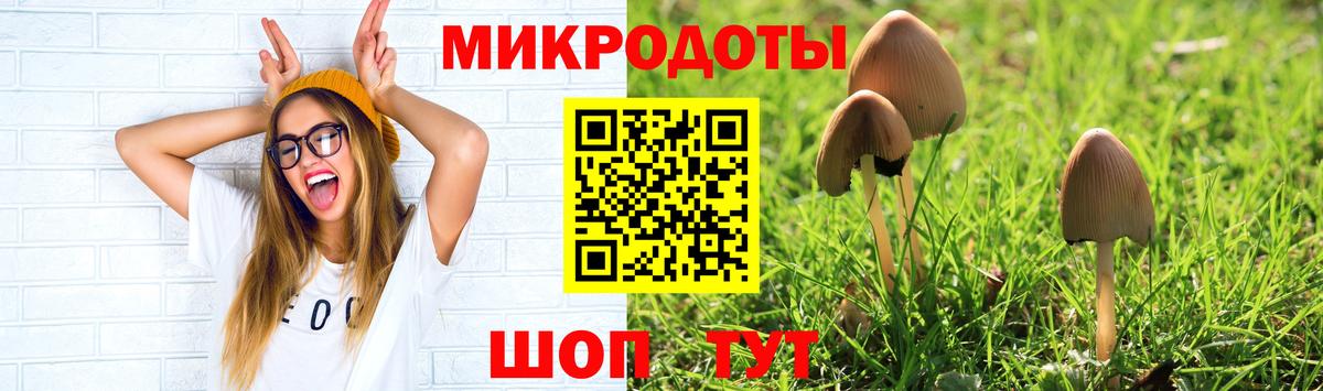 Псилоцибиновые грибы Psilocybine cubensis Керчь